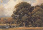 unknow artist Large Oak oil painting